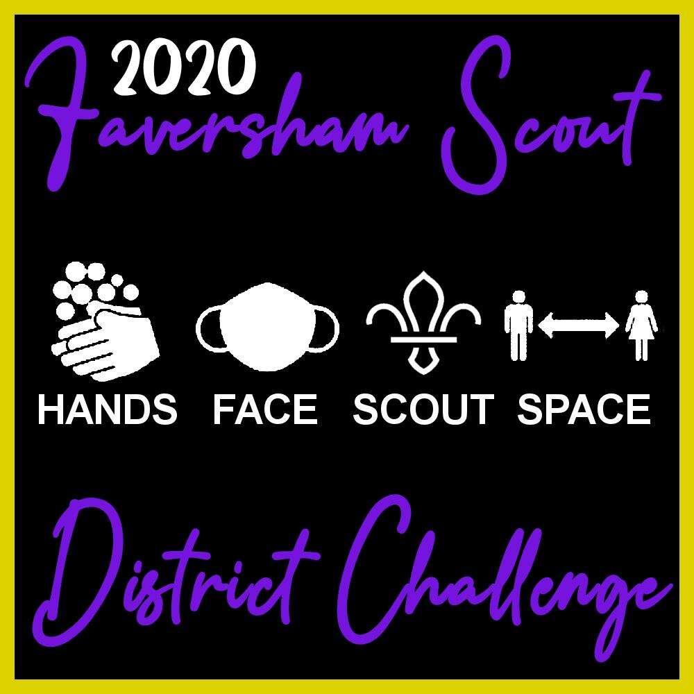 Hands Face Scout Space 2020